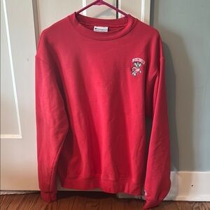 Champion University of Wisconsin Crewneck Sweater